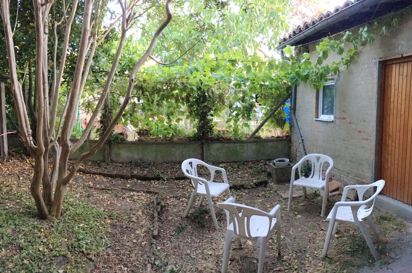 Jardin interieur avec sièges et rameaux de vigne